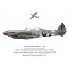 Spitfire TR 9 PV202, G-CCCA, Duxford, 2019
