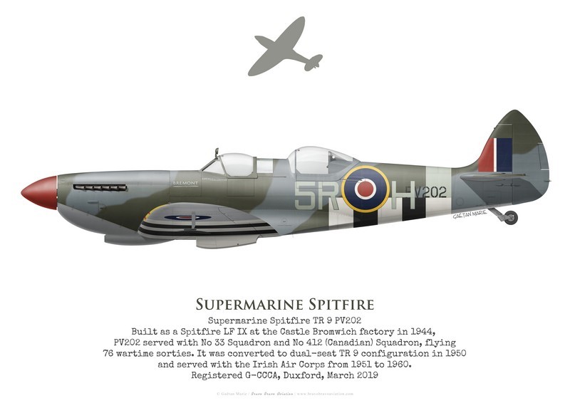 Spitfire TR 9 PV202, G-CCCA, Duxford, 2019 - Bravo Bravo Aviation