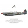 Spitfire TR 9 PV202, G-CCCA, Duxford, 2021