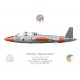 Fouga Magister, Patrouille acrobatique “Silver Swallows”, Irish Air Corps, 1986-1998