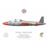 Fouga Magister, Patrouille acrobatique “Silver Swallows”, Irish Air Corps, 1986-1998