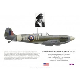F/L Donald Blakeslee, Spitfire Mk Vb EN951, No 133 (Eagle) Squadron, 1942