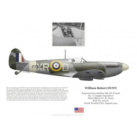 P/O William Dunn, Spitfire Mk IIa P7308, No 71 (Eagle) Squadron, 1941