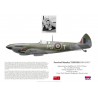 G/C Percival Turner, Spitfire Mk XVI TB300, No 127 (RCAF) Wing, 1945