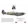 W/C Ian R. Gleed, Spitfire Mk Vb AA742, Ibsley Wing, 1942