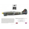 W/C Roland Beamont, Tempest Mk V JN751, No 150 Wing RAF, avril 1944