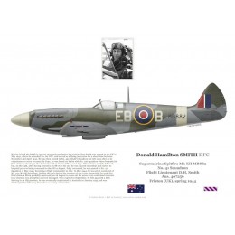 F/L Donald Smith, Spitfire Mk XII MB882, No 41 Squadron RAF, 1944