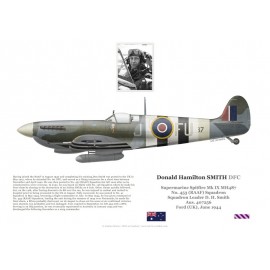 F/L Donald Smith, Spitfire Mk IX MH487, No 453 Squadron RAAF, 1944