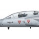 Mirage IIIDS, J-2012 / HB-RDF, preserved in Switzerland