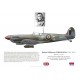 Robert Turkington, Spitfire Mk IX MJ532, No 601 Squadron RAF, Italy, 1944