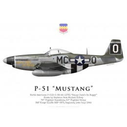 P-51D Mustang "Happy Jack's Go Buggy", Capt Jack Ilfrey, 79th Fighter Squadron, 20th Fighter Group, juillet 1944