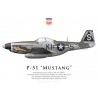 P-51D Mustang, 1LT Walter Mullins, 55th Fighter Squadron, 20th Fighter Group, 1944