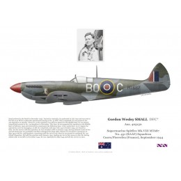Gordon Small, Spitfire Mk VIII MT687, No 451 Squadron RAAF, 1944