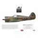 Graham Falconer, Spitfire Mk XIV NH919, No 451 Squadron RAAF, 1945