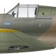Peter McCall Bond, Mohawk Mk IV BS796, No 5 Squadron, 1943