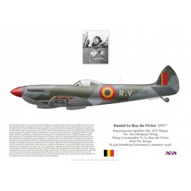 Daniel Le Roy du Vivier, Spitfire Mk XVI TB590, No 160 (Belgian) Wing, 1946