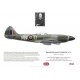 Harold Walmsley, Spitfire Mk XIV MV267, No 350 (Belgian) Squadron, 1945