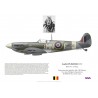 André Plisnier, Spitfire Mk Vb BM230, No 350 (Belgian) Squadron, 1942