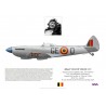 Albert Van de Velde, Spitfire Mk XVI TB900, CO No 349 (Belgian) Squadron, 1946