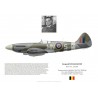 Léopold Collignon, Spitfire Mk XIV RM693, No 350 (Belgian) Squadron, 1944