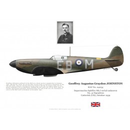 Geoffrey Johnston, Spitfire Mk I, CO No 41 Squadron, 1940