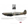 Geoffrey Johnston, Spitfire Mk I, CO No 41 Squadron, 1940
