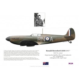 Ronald Lees, Spitfire Mk I, CO No 72 Squadron RAF, 1940
