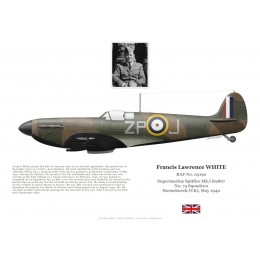Francis White, Spitfire Mk Ia K9867, CO No 74 Squadron, 1940