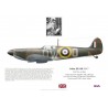 John Ellis, Spitfire Mk Ia R6595, No 610 Squadron RAF, 1940