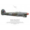 Typhoon Mk Ib SW496, G/C John Baldwin, OC 123 Wing, 1945