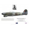 Charles Erasmus, Typhoon Mk IB, No 193 Squadron RAF, 1945