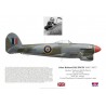 John Baldwin, Typhoon Mk IB, CO No 123 Wing RAF, 1945