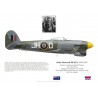 John Deall, Typhoon Mk IB, OC No 146 Wing RAF, 1945