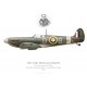 Spitfire Mk IIa, Wg Cdr Douglas Bader, Tangmere Wing, Royal Air Force, 1941