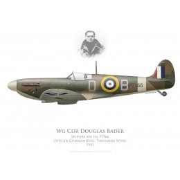 Spitfire Mk IIa, Wg Cdr Douglas Bader, Tangmere Wing, Royal Air Force, 1941