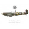 Spitfire Mk IIa, Wg Cdr Douglas Bader, Tangmere Wing, Royal Air Force, 1941
