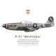 P-51D Mustang 44-11161 June Nite, Capt Ernest Fiebelkorn, 77th Fighter Squadron, 20th Fighter Group, 1944