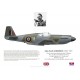 Alan Anderson, Mustang Mk II FR900, No 35 (Reconnaissance) Wing RAF, France, 1945