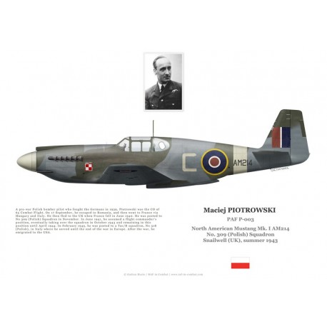 Maciej Piotrowski, Mustang Mk I AM214, No 309 (Polish) Squadron RAF, 1943