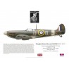 W/C Douglas Bader, Spitfire Mk II, Tangmere Wing, Spring 1941