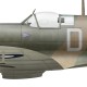 W/C Douglas Bader, Spitfire Mk II P7966, Tangmere Wing, printemps 1941