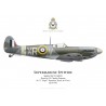 Spitfire Mk Vb, F/L Chesley Peterson, No 71 "Eagle" Squadron, RAF, 1942