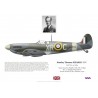 Stanley Meares DFC, Spitfire Mk Vb AA855, No 71 (Eagle) Squadron RAF, 1941