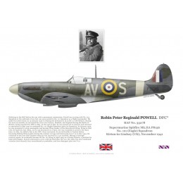 Robin Powell DFC, Spitfire Mk IIa P8136, No 121 (Eagle) Squadron RAF, 1941