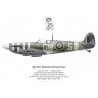 Spitfire Mk Vb, Wg Cdr Bernard Duperier, GC n°2 "Ile-de-France", No 340 (Free French) Squadron, Royal Air Force, 1942