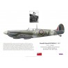 Donald Kimball DFC, Spitfire Mk IX, No 441 (Canadian) Squadron RAF, 1945