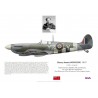 Harry Dowding DFC, Spitfire Mk IX, No 442 (Canadian) Squadron RAF, 1944