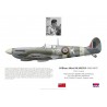William Olmsted DSO DFC, Spitfire Mk IX, No 442 (Canadian) Squadron RAF, 1944