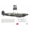 Milton Jowsey DFC, Spitfire Mk IX, No 442 (Canadian) Squadron RAF, 1945
