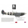 Henry "Wally" McLeod DSO DFC, Spitfire Mk IX, No 443 (Canadian) Squadron RAF, 1944